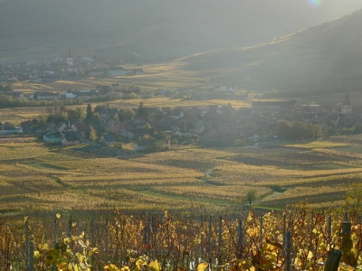 Location saisonniere de vacances gite KIENTZHEIM